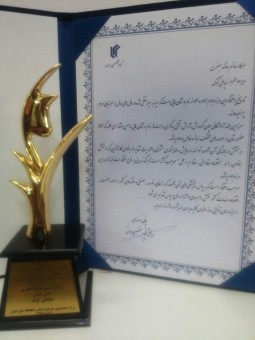 photo_2017-01-10_22-51-48