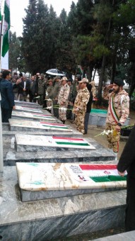 photo_2017-02-03_11-43-13