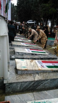 photo_2017-02-03_11-43-16