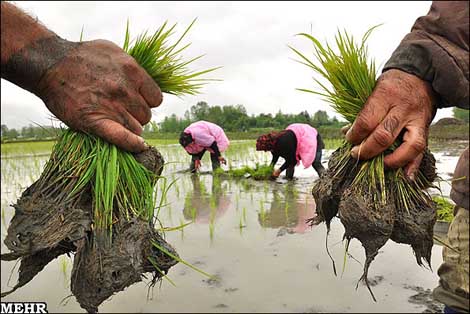 9714520485261512499197911941011271577