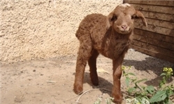 13920307000931_PhotoA