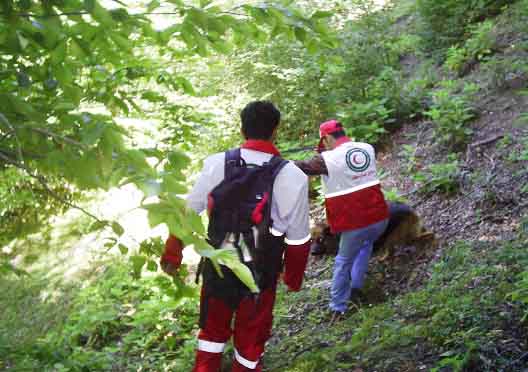 SAMSUNG DIGITAL CAMERA