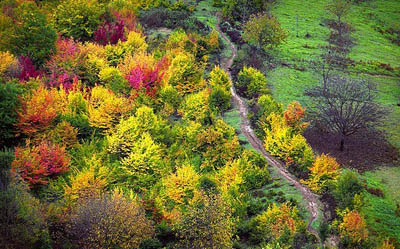 13910918144152357_PhotoL