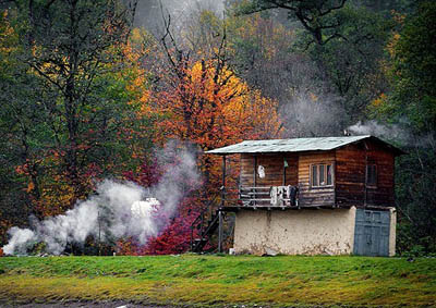 13910918144200779_PhotoL