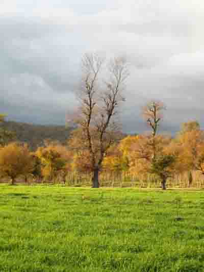 3cf1f8a7e9cd73694c9f06fe1646520d