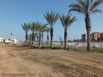 DSCF4510-copy-340x255