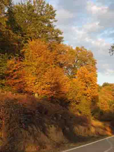 ec57a27d1f1256d7d86b505beafbbd06