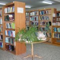 رئیس کتابخانه نکا:جمعیت مناسبی برای عضویت درکتابخانه نکانداریم