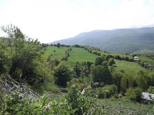 16855994078136774985