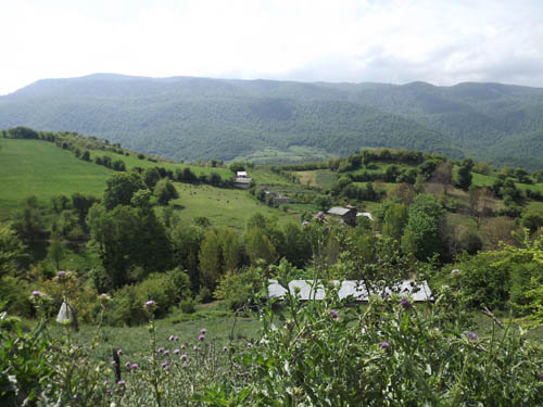 26708174389367563199 (1)