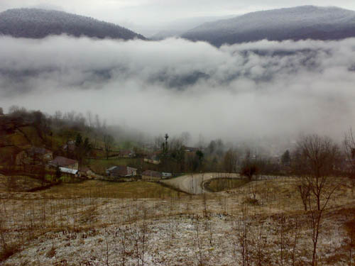 31189932295596101265