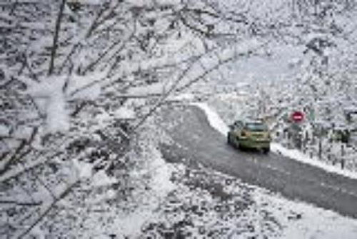 IMAGE634641300408082500