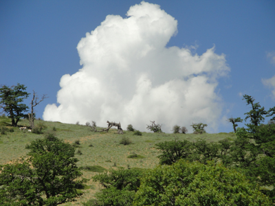 DSC04238