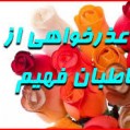 عذرخواهی و پوزش نیوز نکا از علاقمندان به فوتبال
