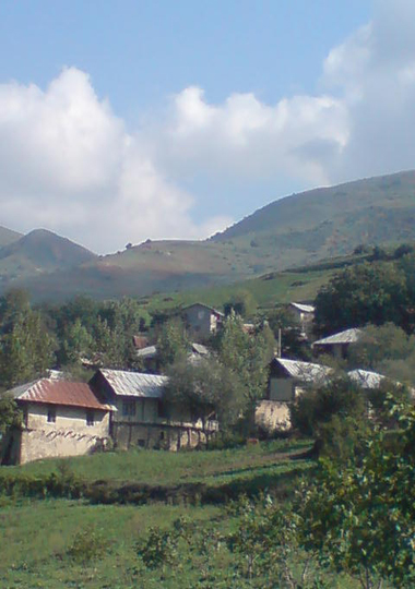 کوا.