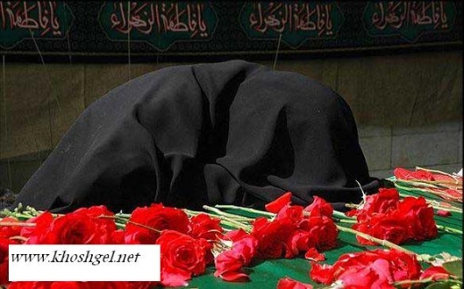 2002933109929248618_fs