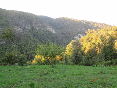 20736858618018325076