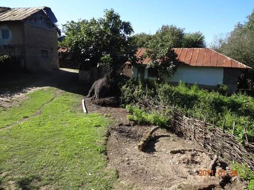 43299220736601963141