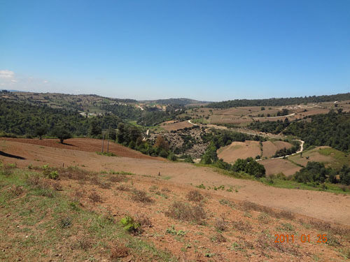 58117278498449405810