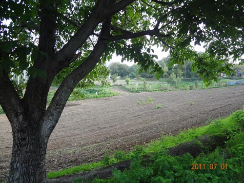 94443479532673619556