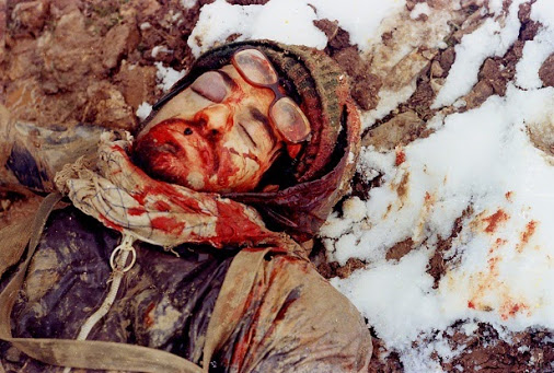 30187148978235811902