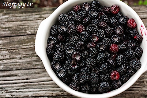 Raspberries_Haftegy.ir_