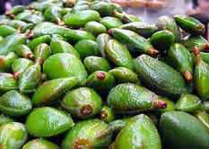 c7b489f84fabd0759db397f2cea01eb2