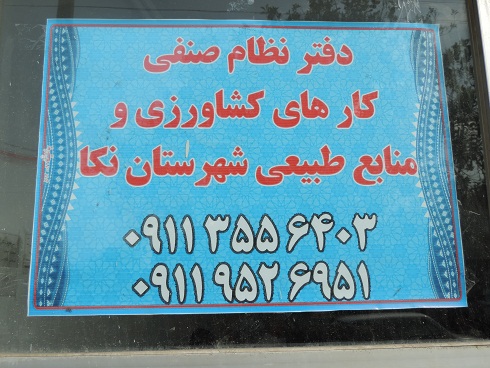 DSCN9958
