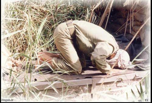 phoca_thumb_l_nz_054