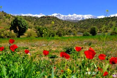 IMAGE634431258357187500