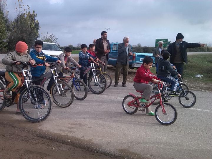 03303776200619487023