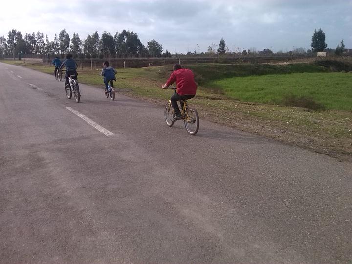 78889877982766675996