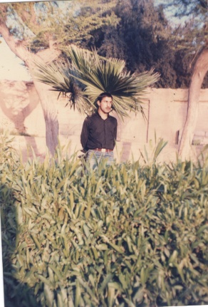 CYMERA_20141101_144307