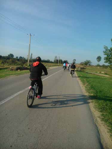 image-567e14276ab9f4abbde3c3fb8086fd4896d5d29c077153813cd1c0caabeba9a0-V