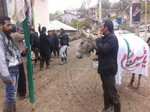 image-6e3a458e64983b3621ab0b6c20e469f6d97f89cb36b977393f06ec3e8fcb4cc0-V