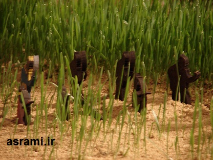 l5g4ejrk8hbvgsd6ho6g