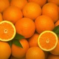 باغداران دنگسرکی ،پرتقال ۹ استان کشور را تامین کردند