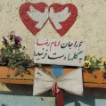 پرورش گل دريك صافكاري توسط شهروندخوش ذوق نكايي /عكس