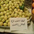 تعزیرات مازندران :عرضه میوه های خارجی ممنوع