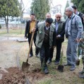 روز درختکاری و غرس نهال در نکا+تصویر