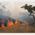 بخشدارهزارجریب: ده هکتار ار عرصه منابع طبیعی چلم کوه در آتش سوخت.