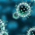 اعرابی:کنترل بیماری آنفلوآنزا در مازندران