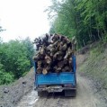 کشف یک و نیم تن چوب آلات جنگلی قاچاق در نکا