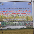آیین روز مزرعه ملی ترویج و توسعه کشاورزی ارگانیک ایران درنکابرگزارشد/تصویر